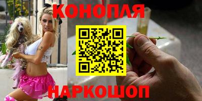 бошки Кингисепп