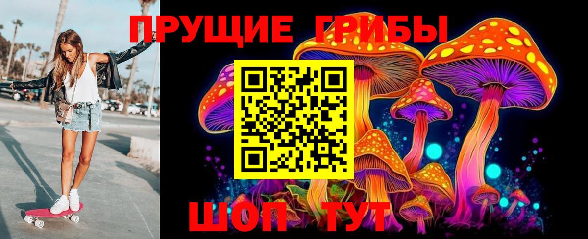 Псилоцибиновые грибы GOLDEN TEACHER Комсомольск-на-Амуре